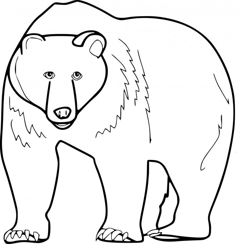 Рисунок медведя маленький
