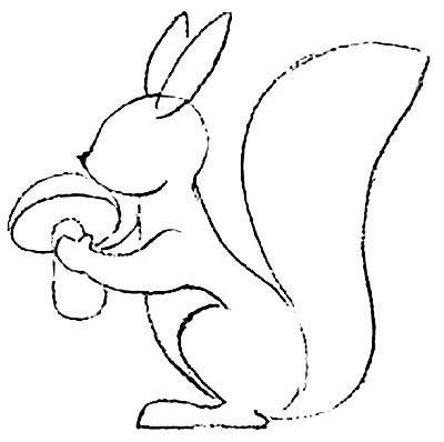 Белка контурный рисунок (42 фото)