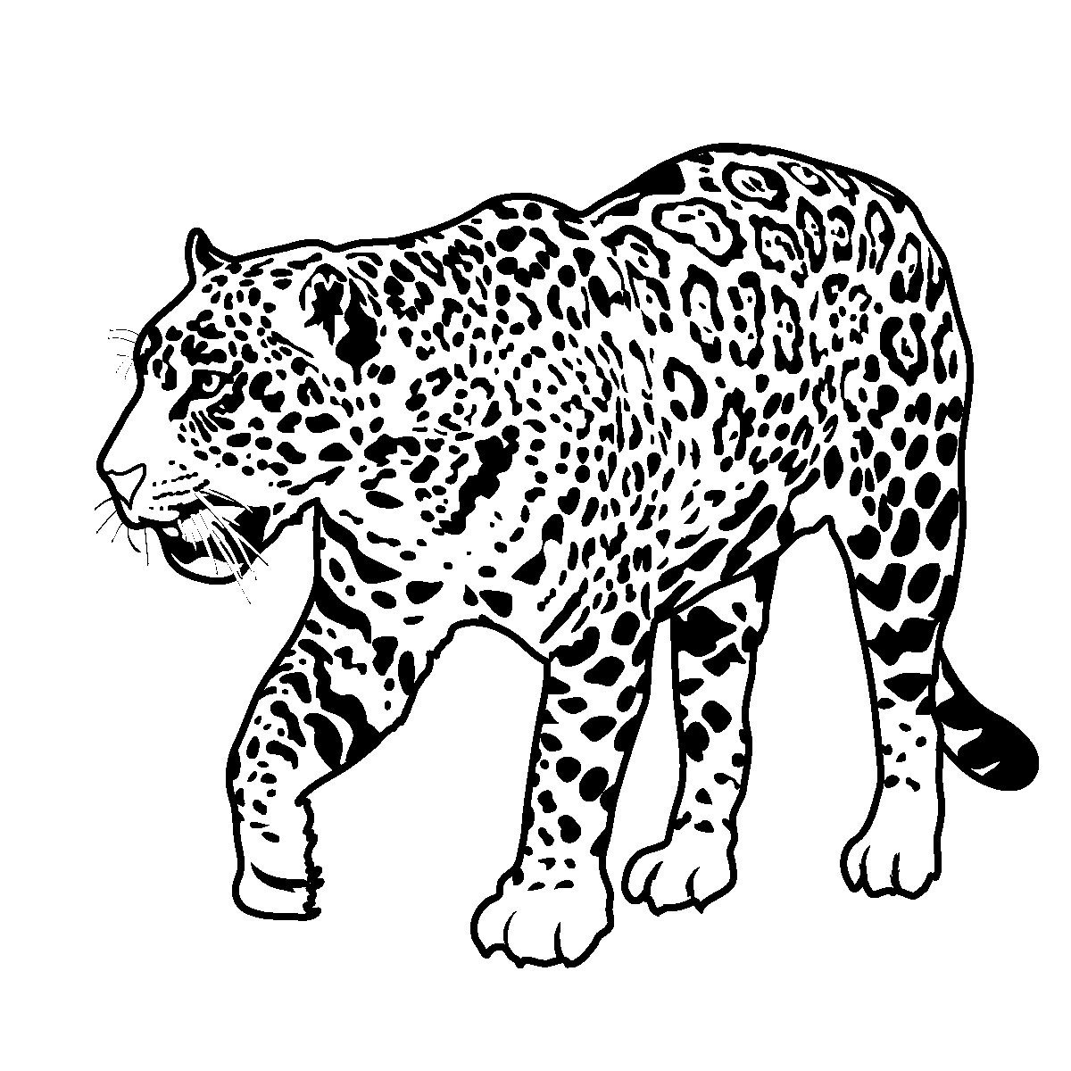 Для детей леопард в черно-белом