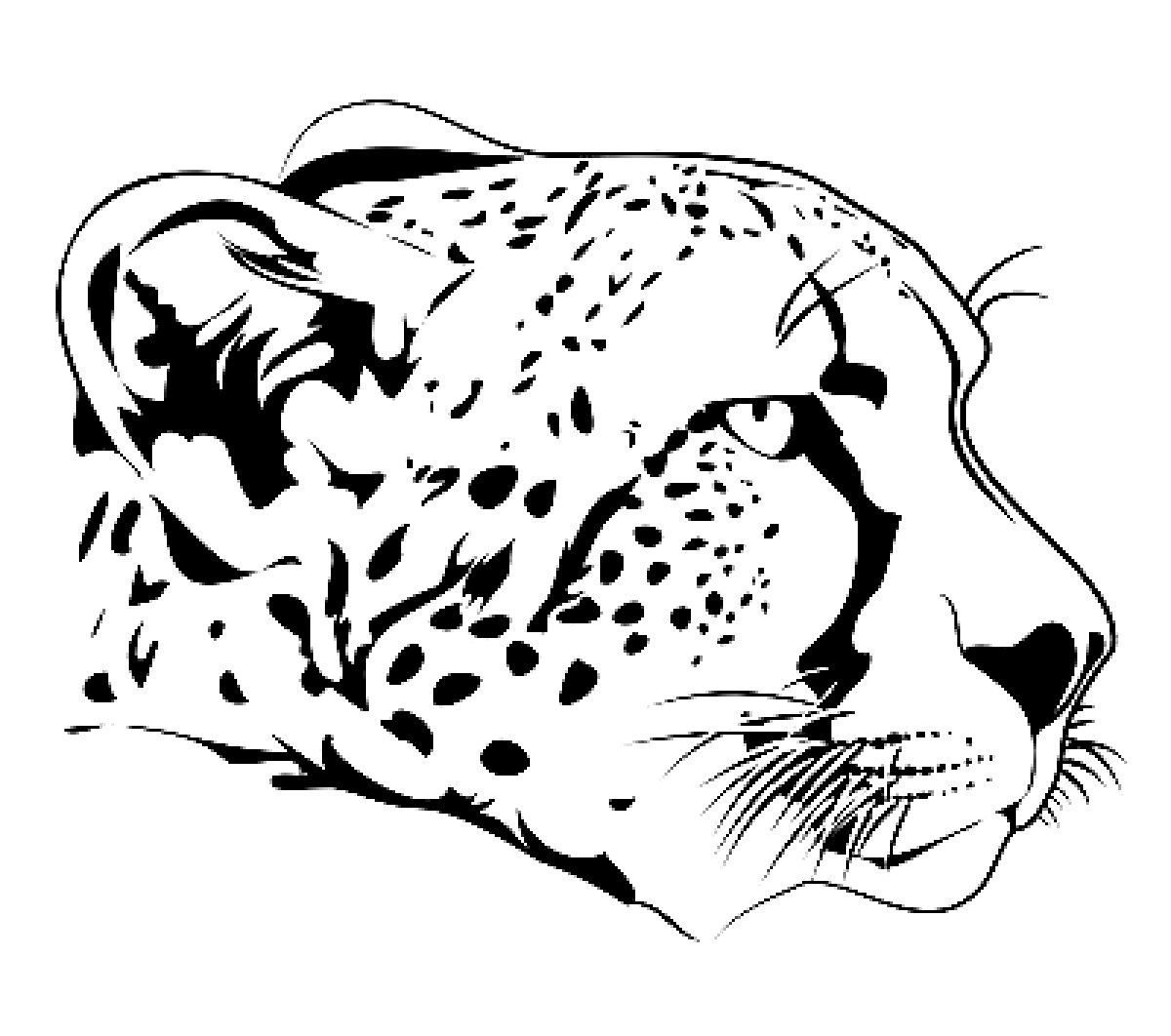 Леопард контурный рисунок