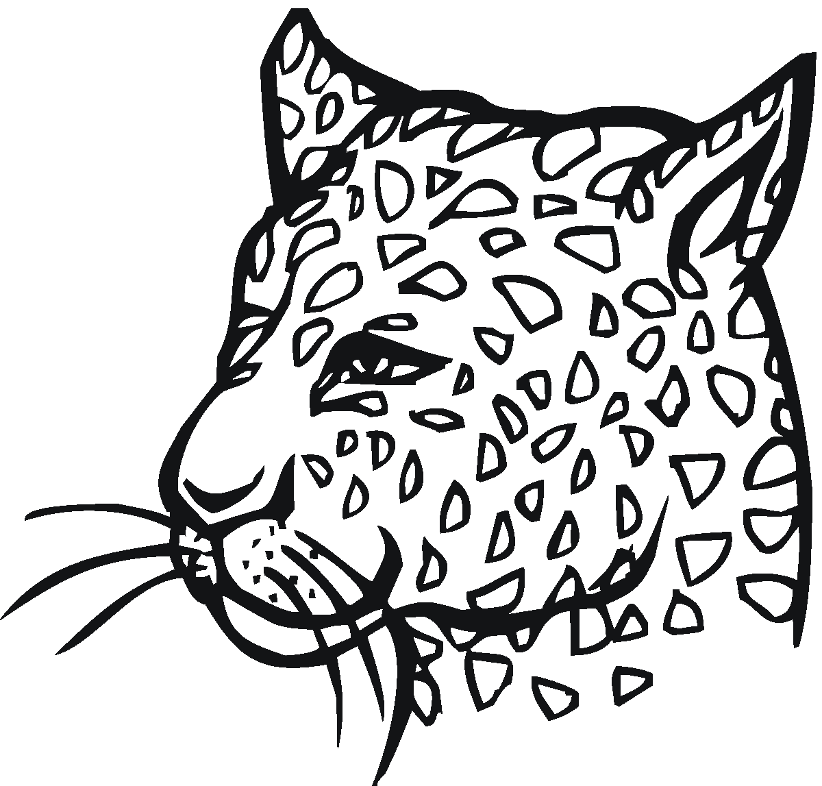 Голова леопарда раскраска