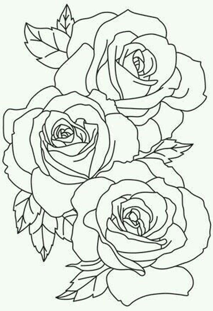 Контур для рисования розы