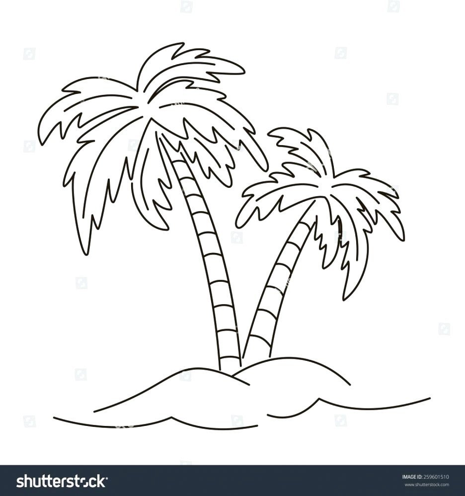 Пальма контур