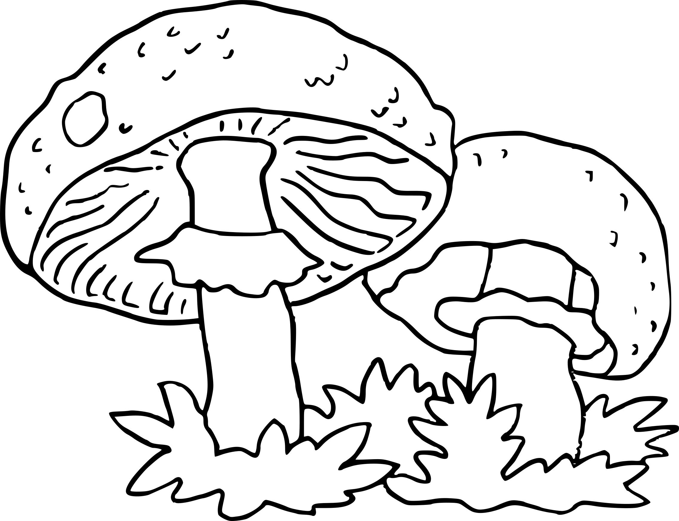 картинки для раскрашивания грибок