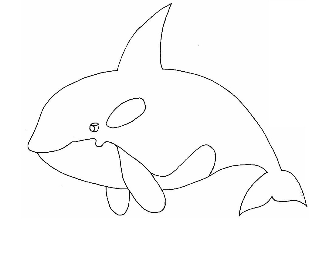 Раскраски для детей Дельфин кит