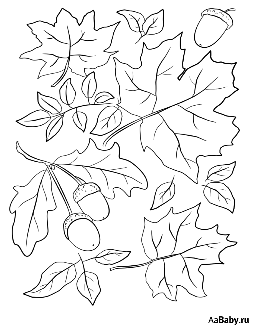 Раскраска осень листья