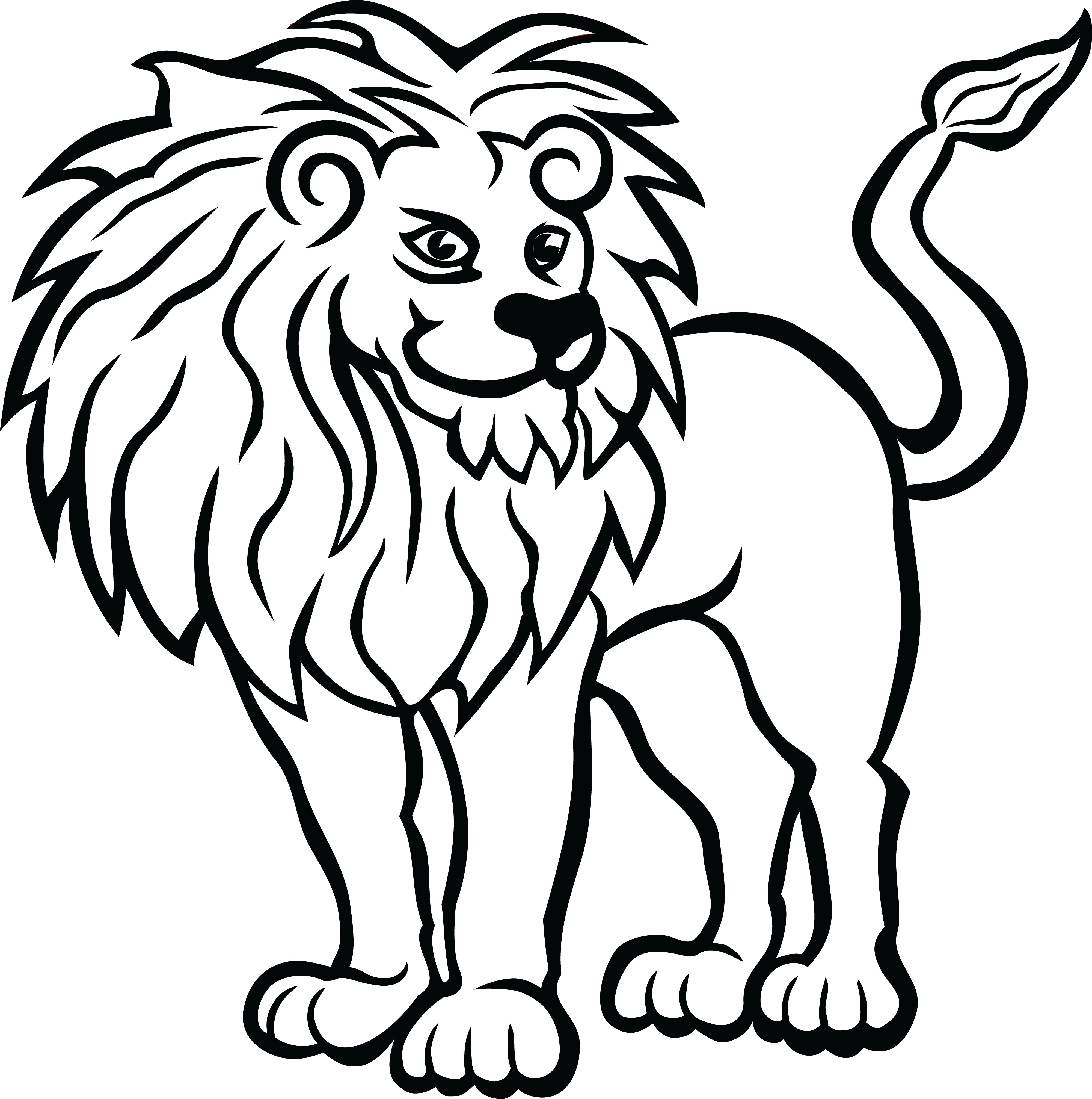 Рисунок белого льва. Раскраска Лев. Лев рисунок. Контур Льва для детей. Контурное изображение Льва.