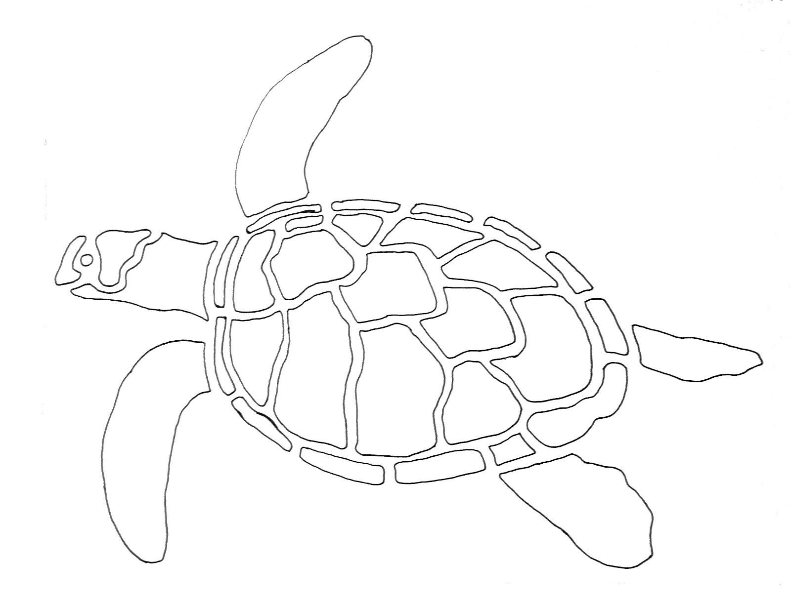 Морская черепаха трафарет