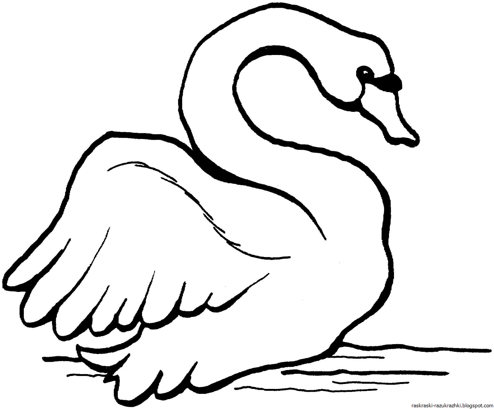 Распечатать картинку лебедь. Лебедь раскраска для детей. Лебедь шипун раскраска. Лебедь картинка для детей раскраска. Лебедь рисунок для детей.