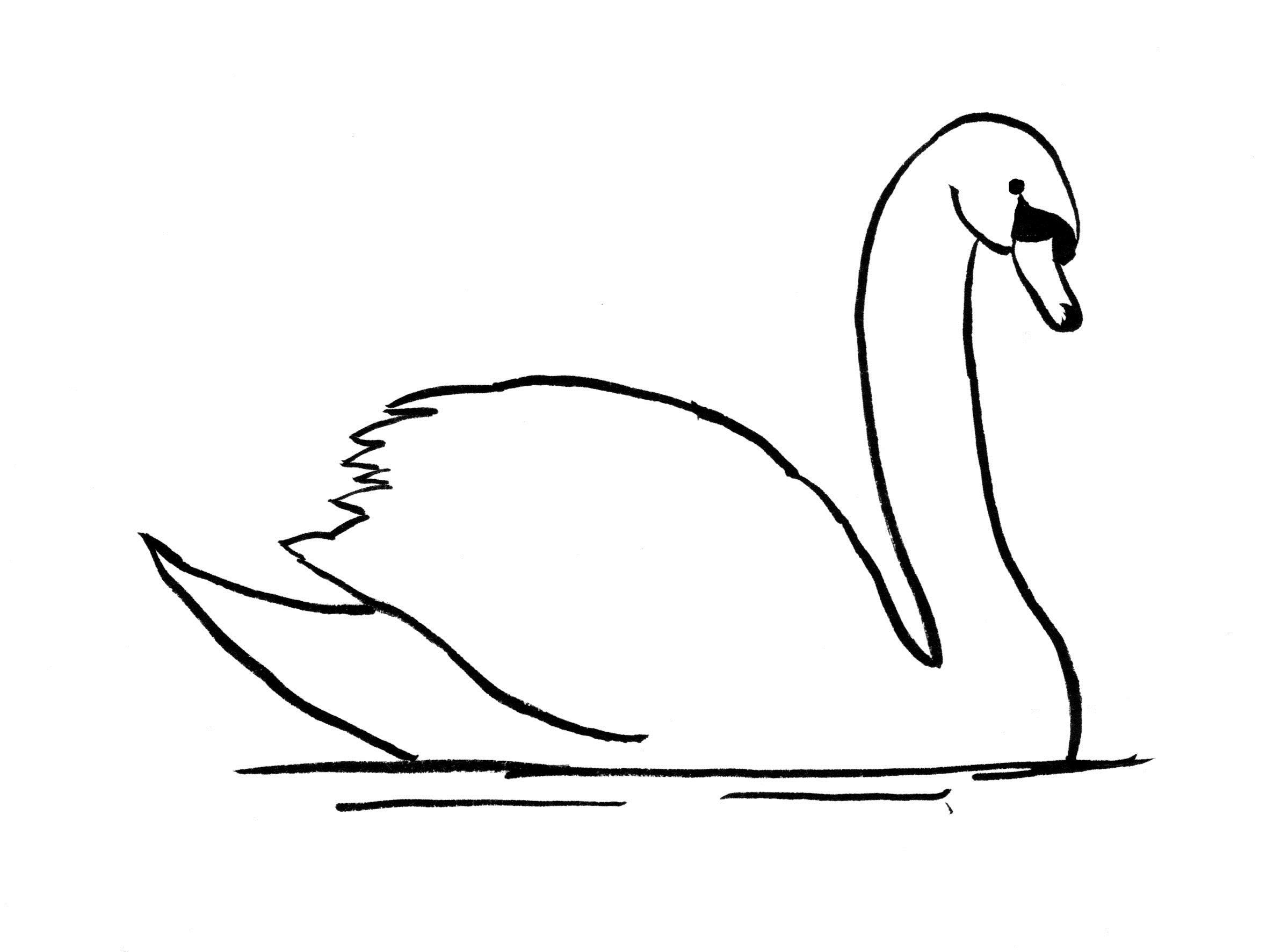 Лебедь рисунок карандашом