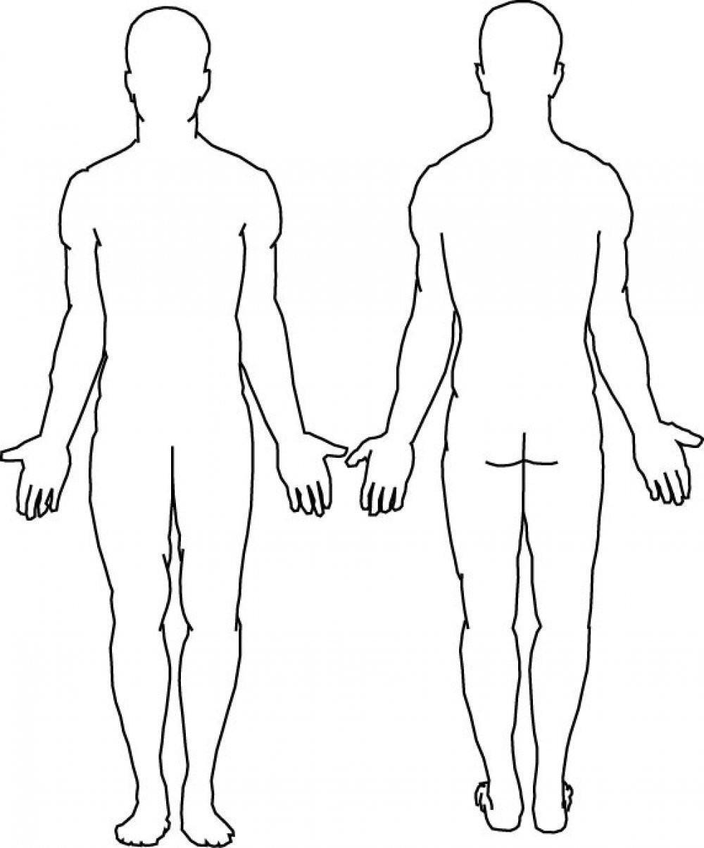Тело человека контур спереди и сзади