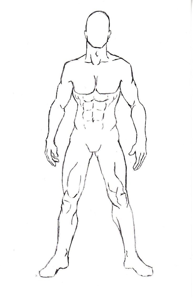 Мужское тело для рисования