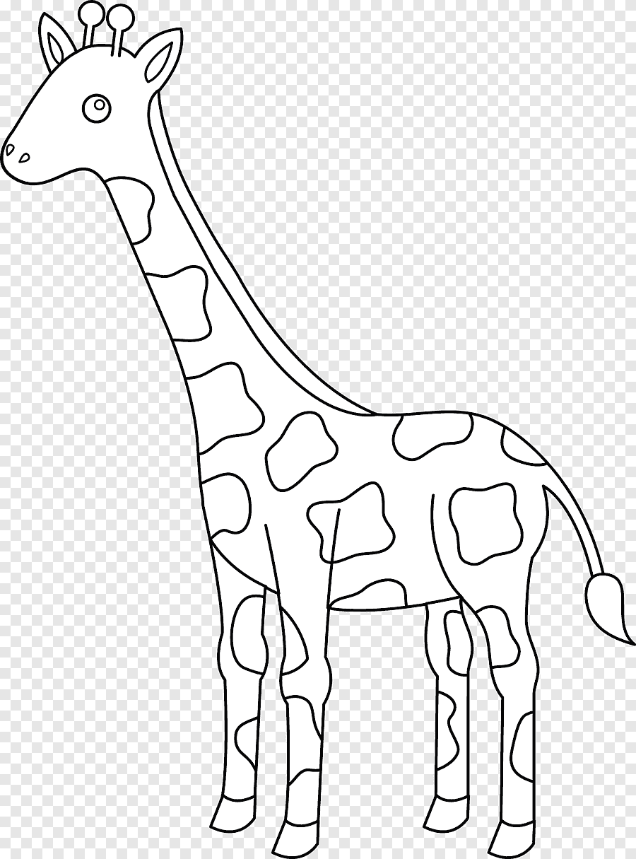 Жираф рисунок