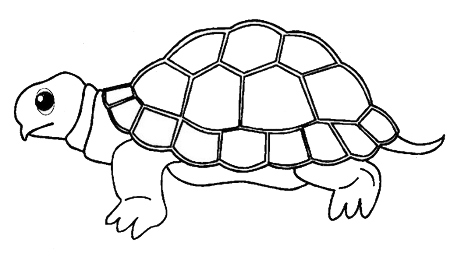 Распечатать картинку черепаха. Черепаха раскраска для детей. Черепаха трафарет для рисования. Трафарет черепахи для раскрашивания. Черепаха раскраска для детей 3-4.