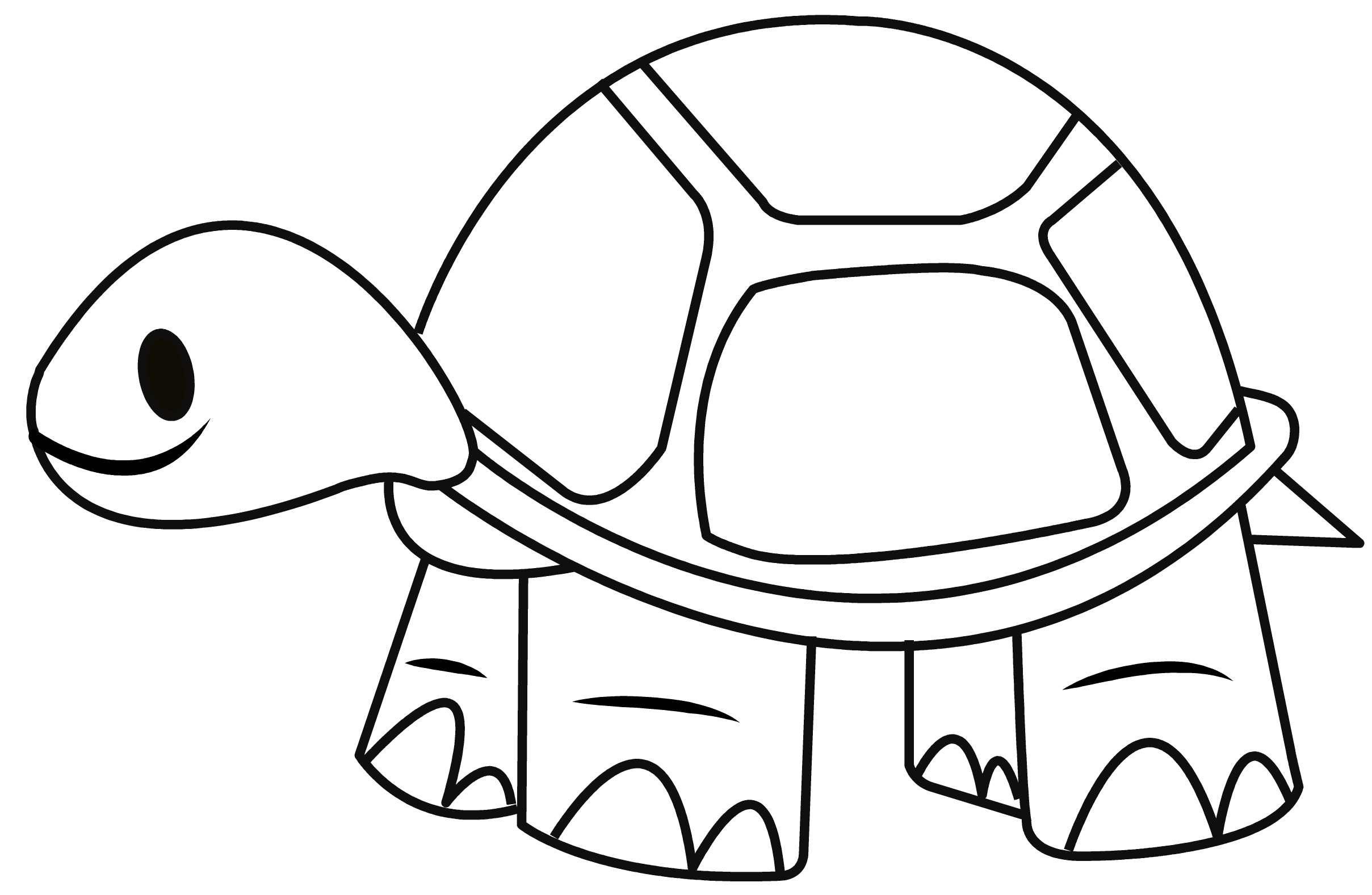 Черепаха трафарет для рисования