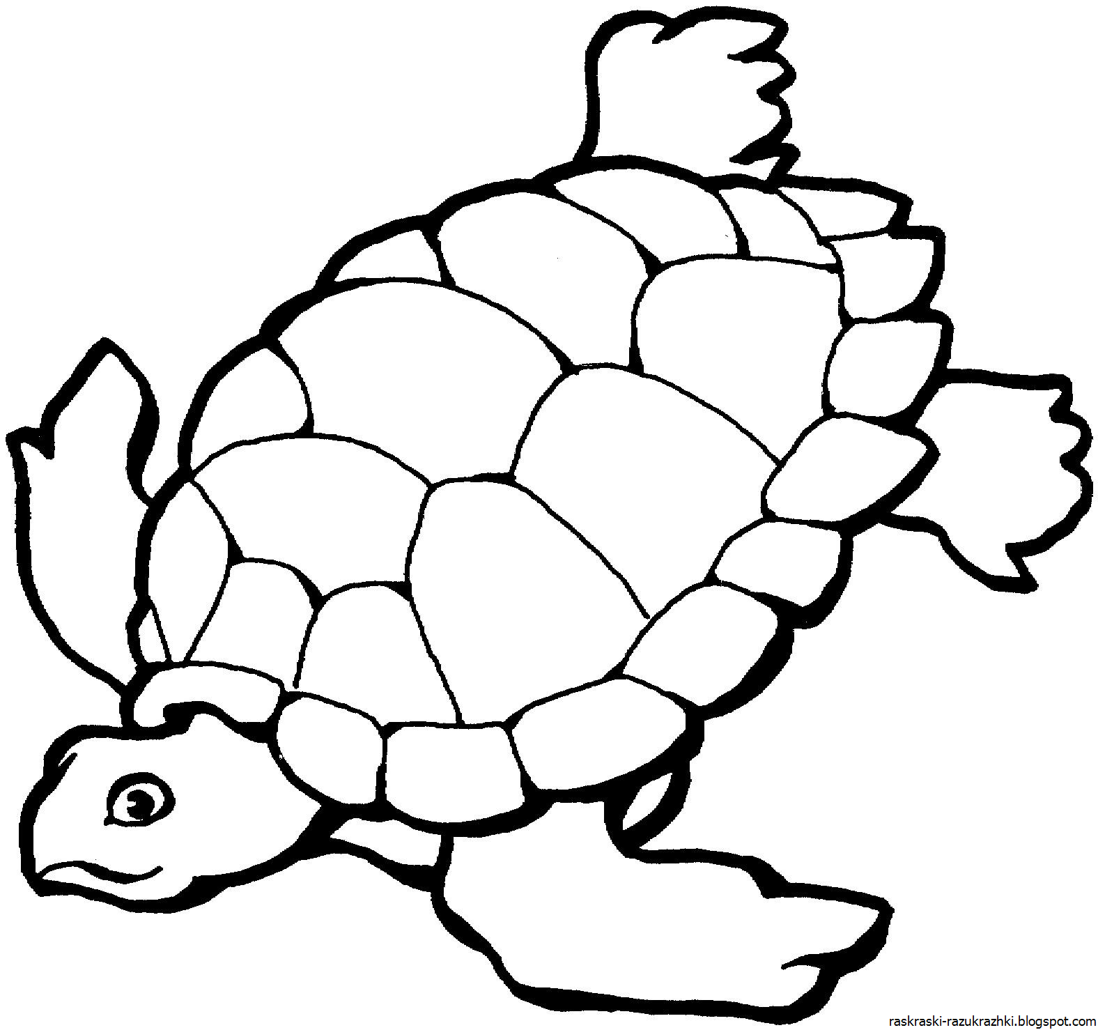 Распечатать картинку черепаха. Черепаха раскраска для детей. Трафареты черепахи. Черепаха шаблон для раскрашивания. Черепашка контур.