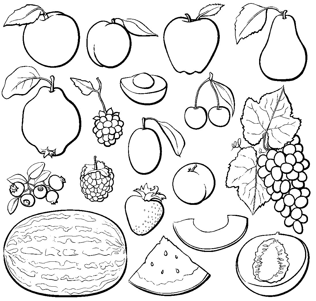 Контуры фруктов и ягод