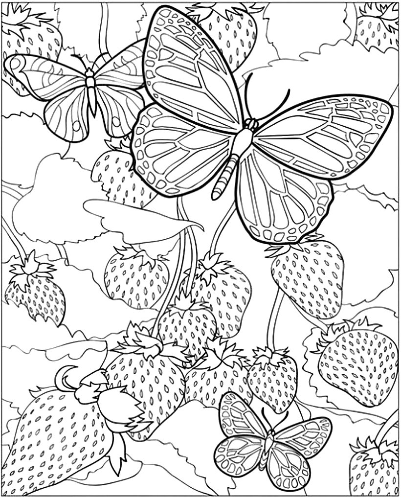 Раскраска антистресс цветы и бабочки