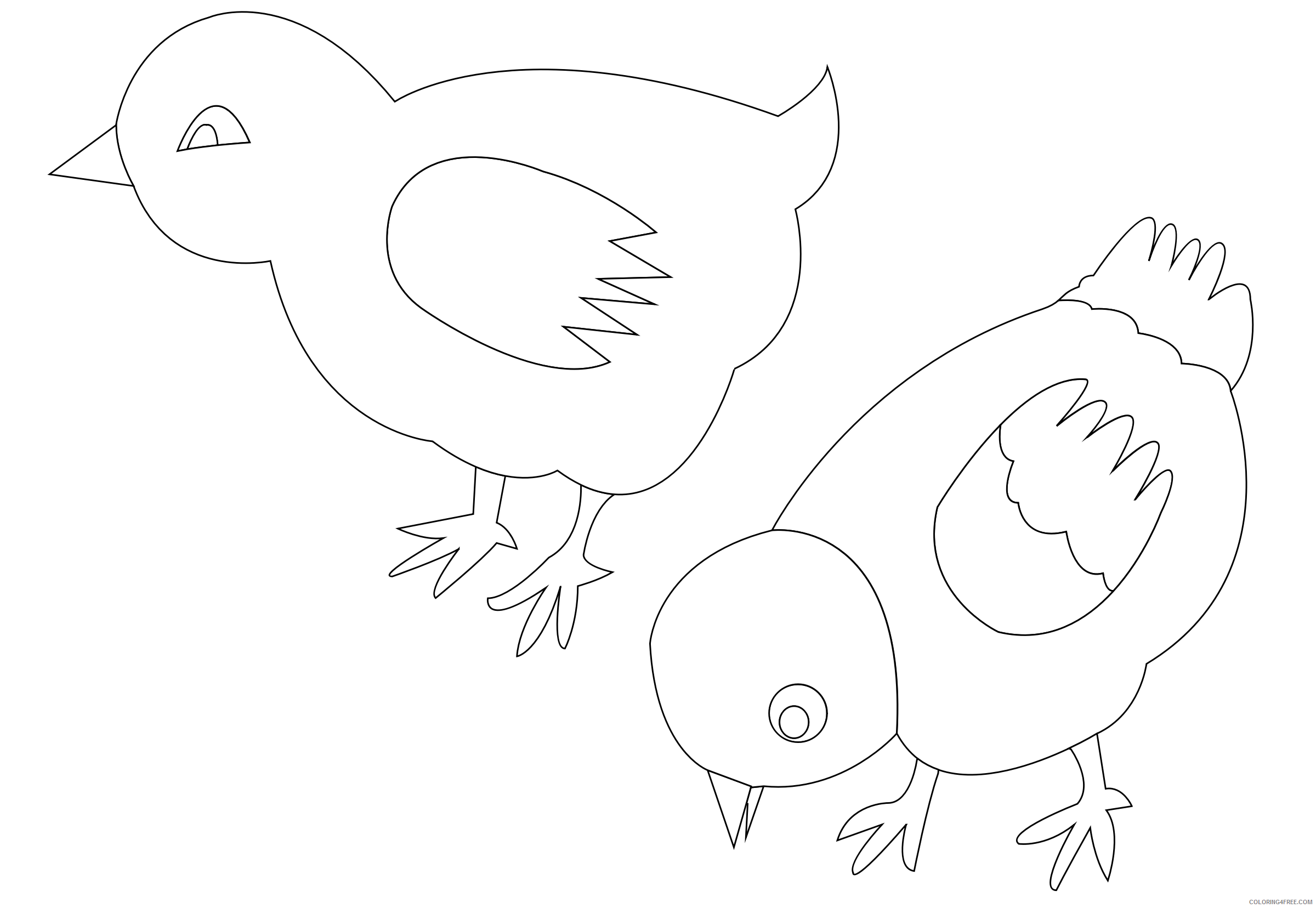 Раскраска 3 цыпленка