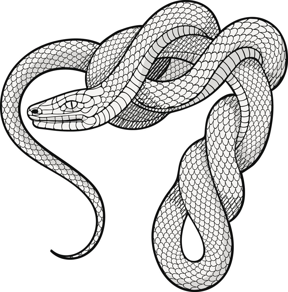 Графическая змея