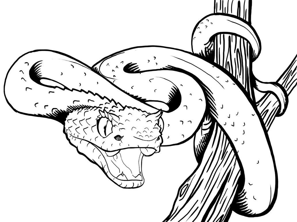 Картинки змеи для срисовки