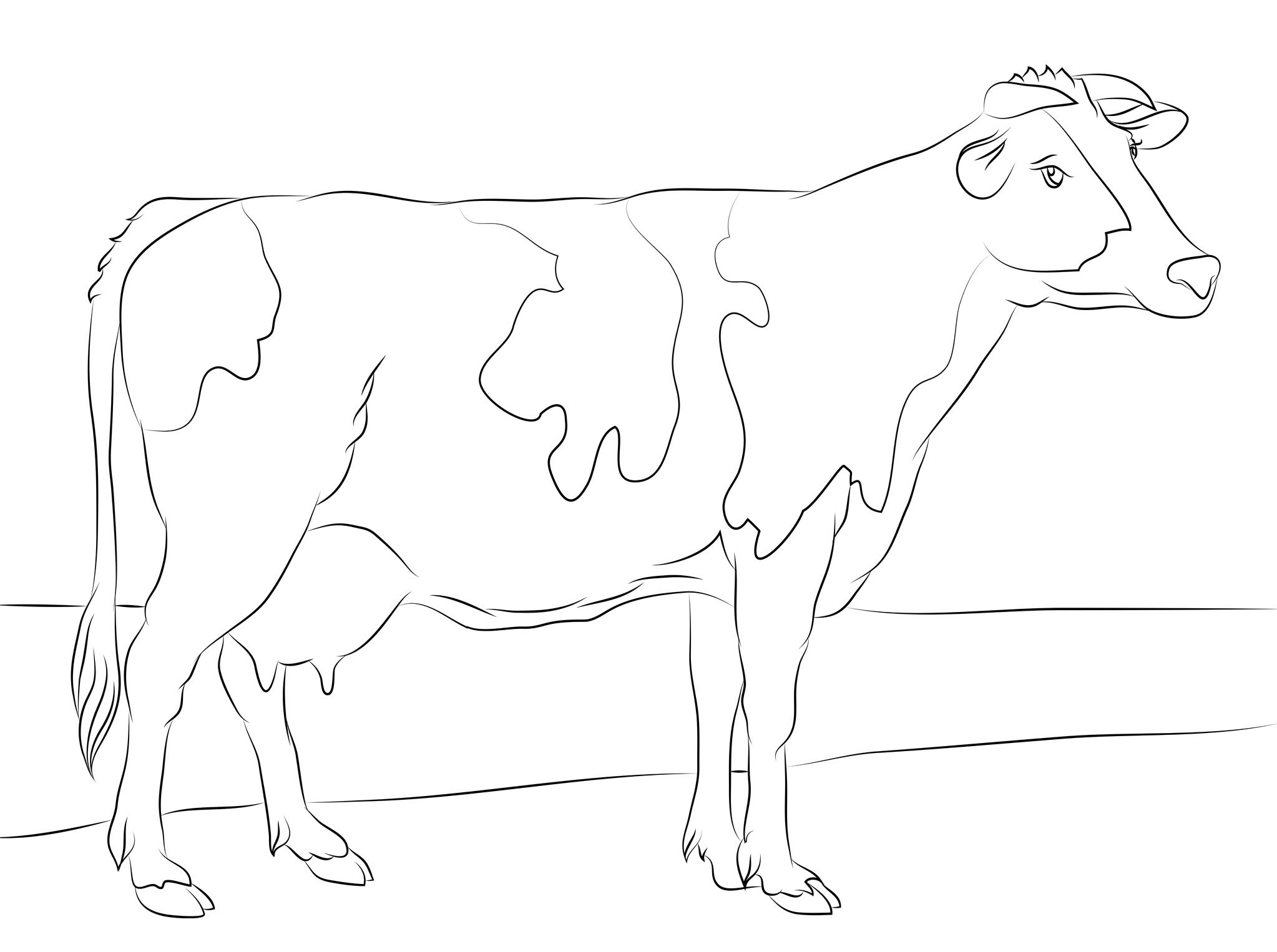 Раскраска животные корова