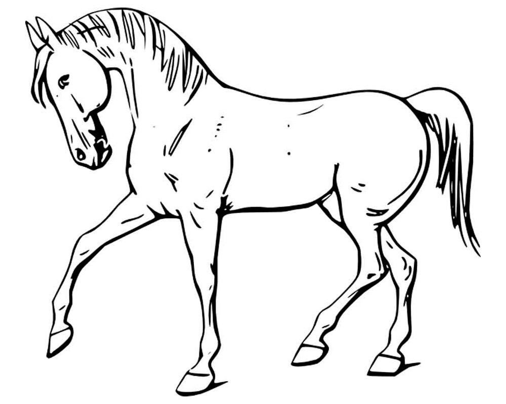 Рисунок лошади для раскрашивания