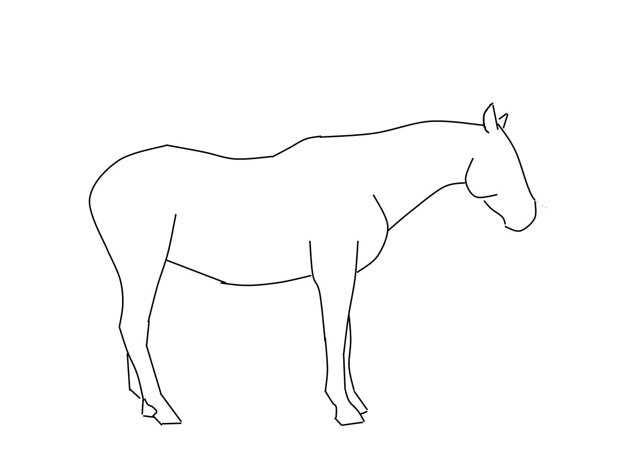 Лошадь без гривы и хвоста