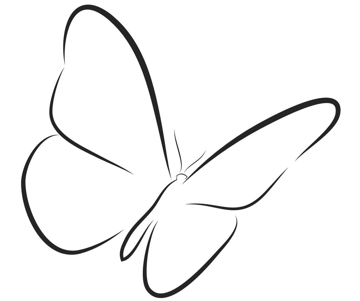 Контурное изображение бабочки