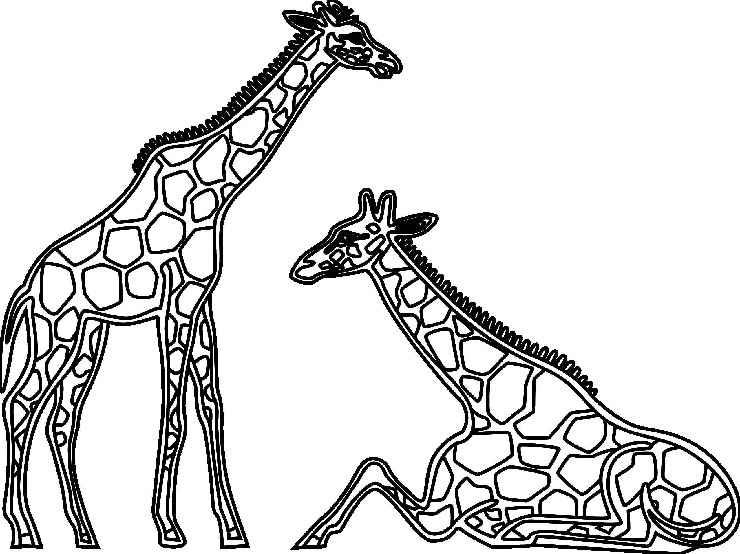 Контурный рисунок жирафа