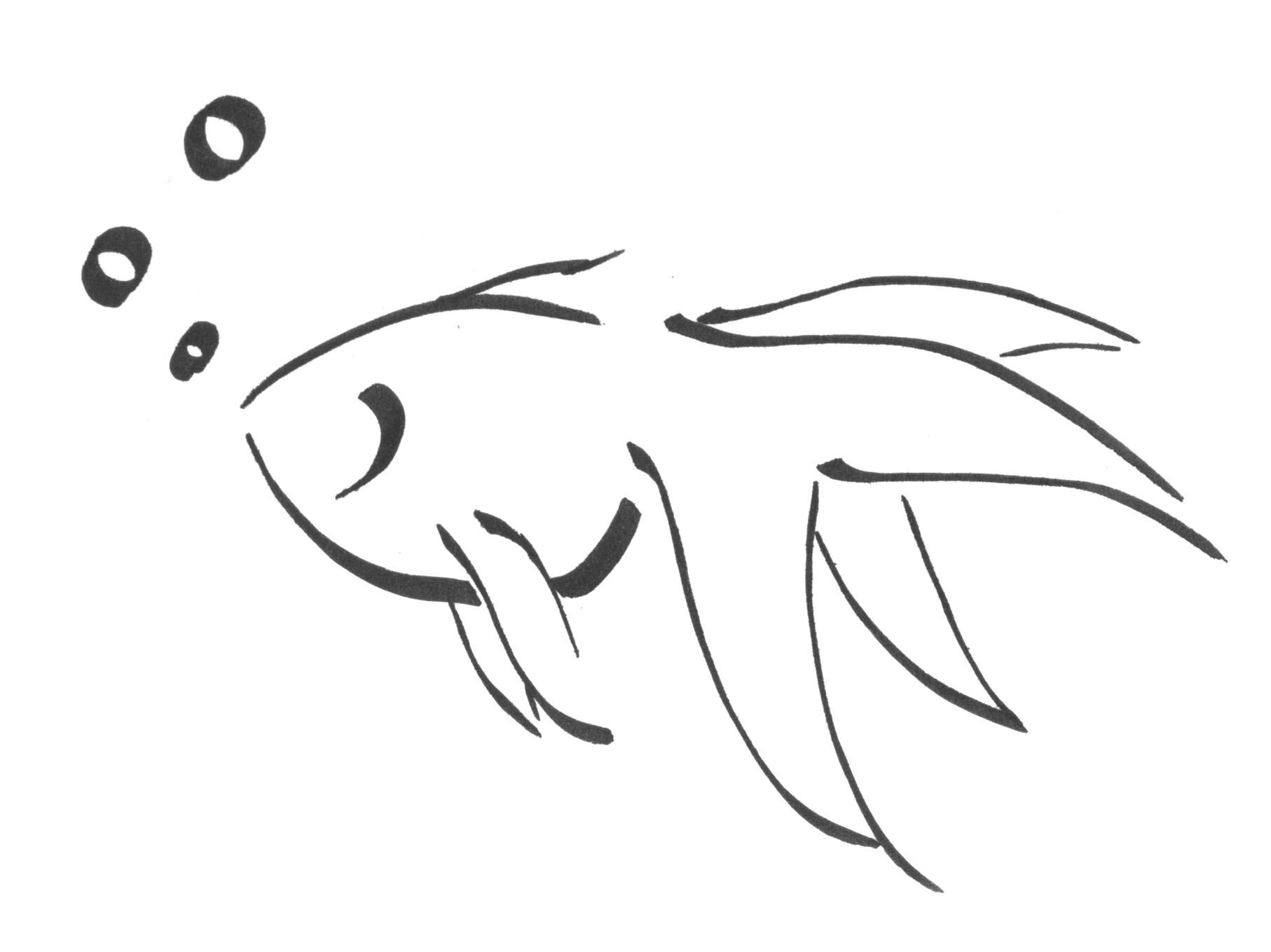 Эскиз рыбы