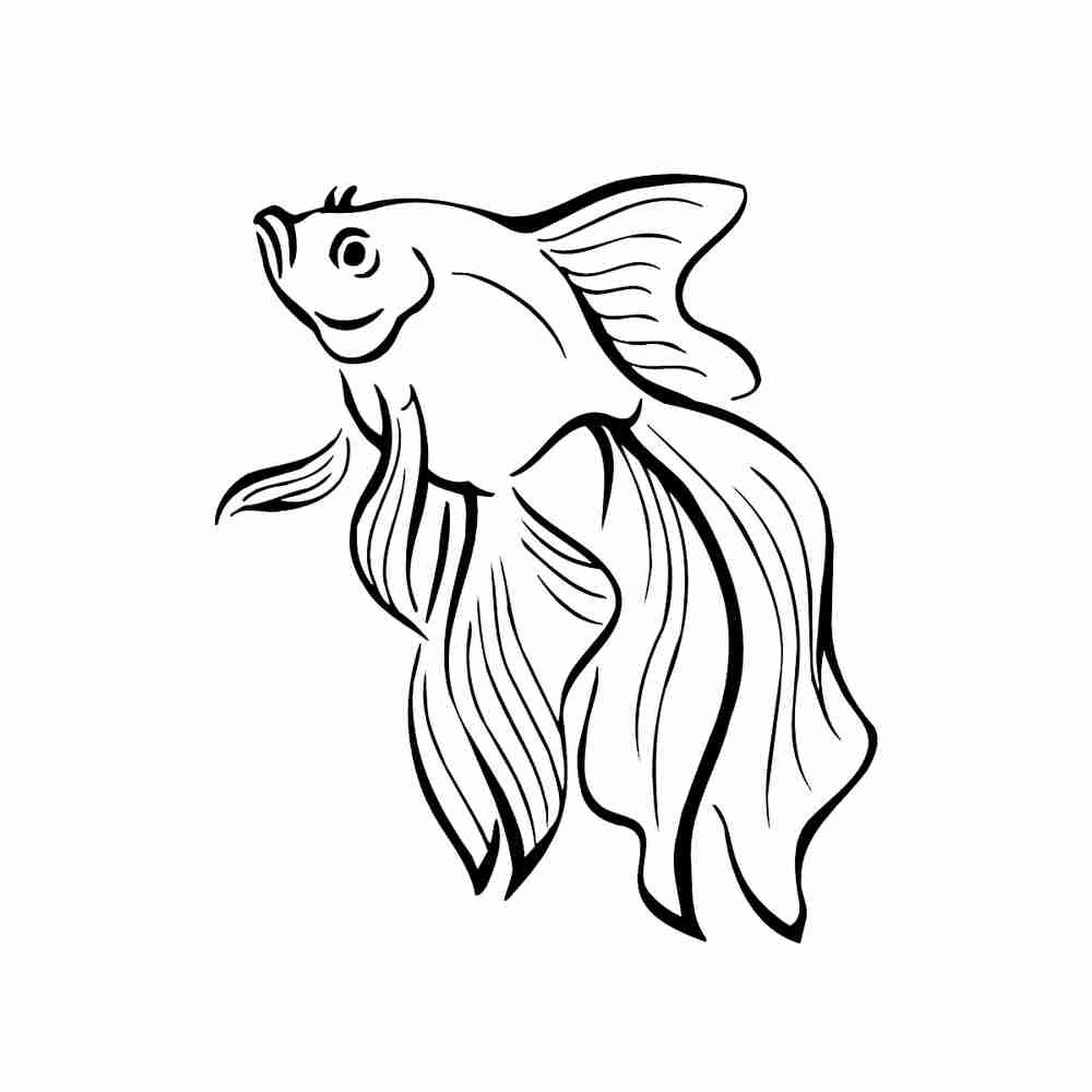 Золотая рыбка картинка рисунок раскраска