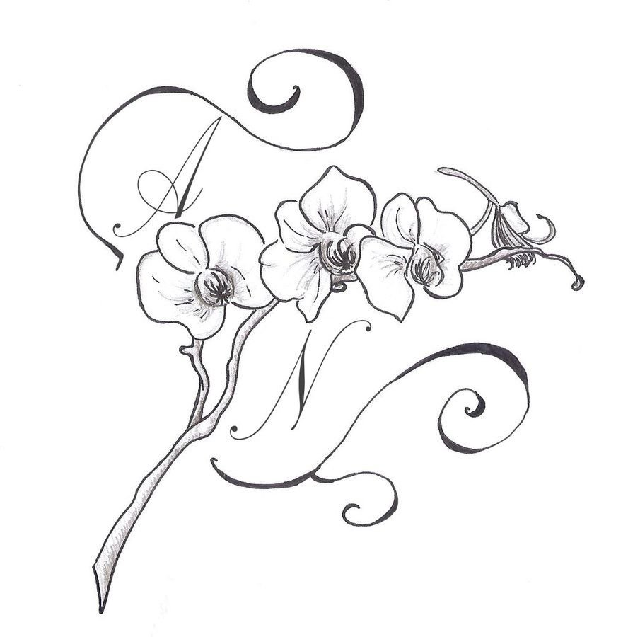 Орхидея стилизация