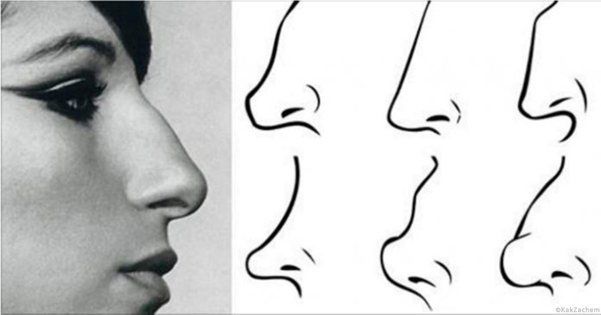Виды носов. Типы Носов курносый. Физиогномика нос с горбинкой. Типы Носов с горбинкой. Форма носа курносый.