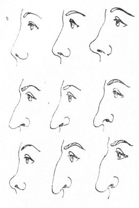 Виды носов. Физиогномика формы Носов. Типы Носов физиогномика. Физиогномика типы носа. Форма ноздрей физиогномика.