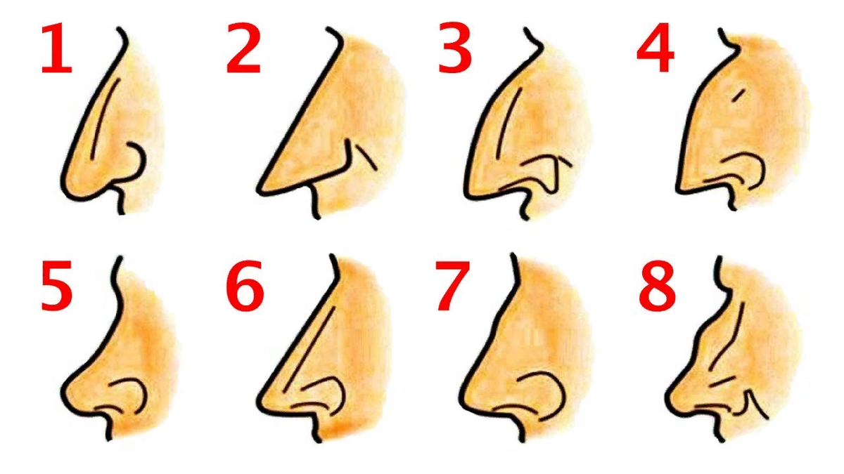 Какой размер носа. Типы Носов с горбинкой. Типы Носов в профиль. Формы носа. Разные формы носа.