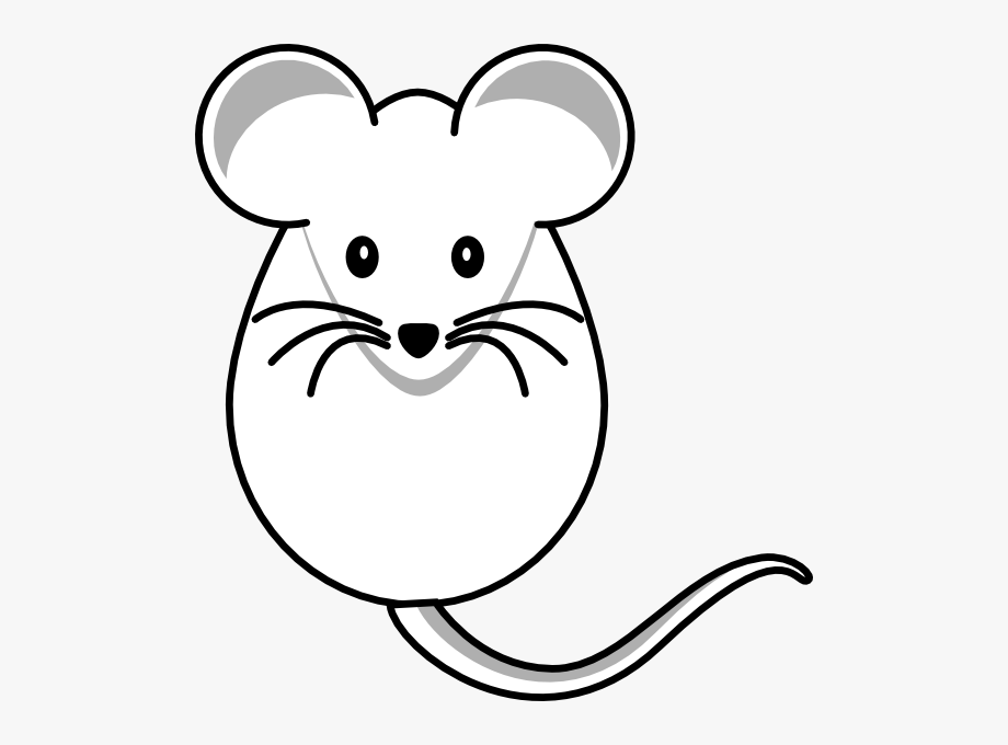 Раскраска мышка. Мышка для раскрашивания детям. Мышь раскраска для детей. Раскраска мышонок. Раскраска мышь распечатать