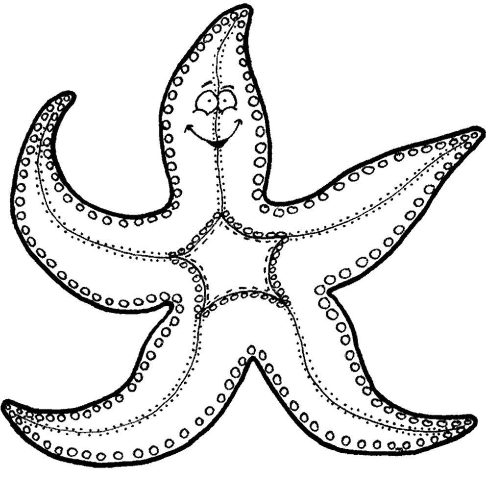 Морская звезда трафарет