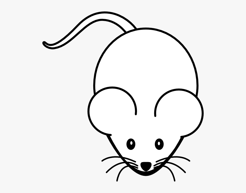 Мышь раскраска. Легкая мышка для рисования. Мышка для срисовки легкая. Мышка раскраска для детей. Как легко нарисовать мышку