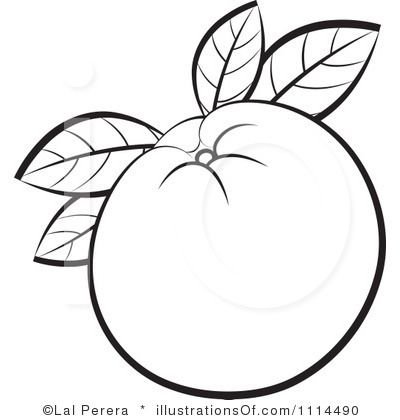 Контурный рисунок апельсин (42 фото)