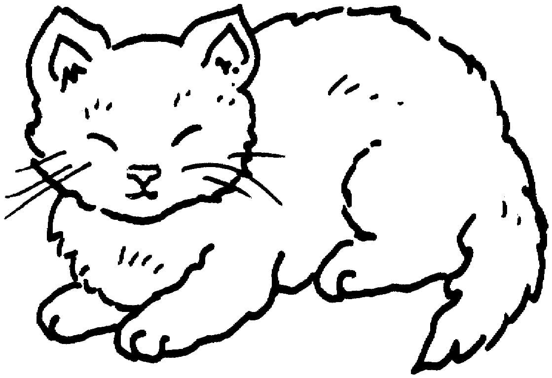 Шаблон котика для рисования