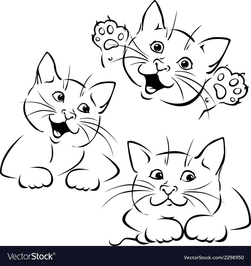 Мордочка и лапки котика рисунок