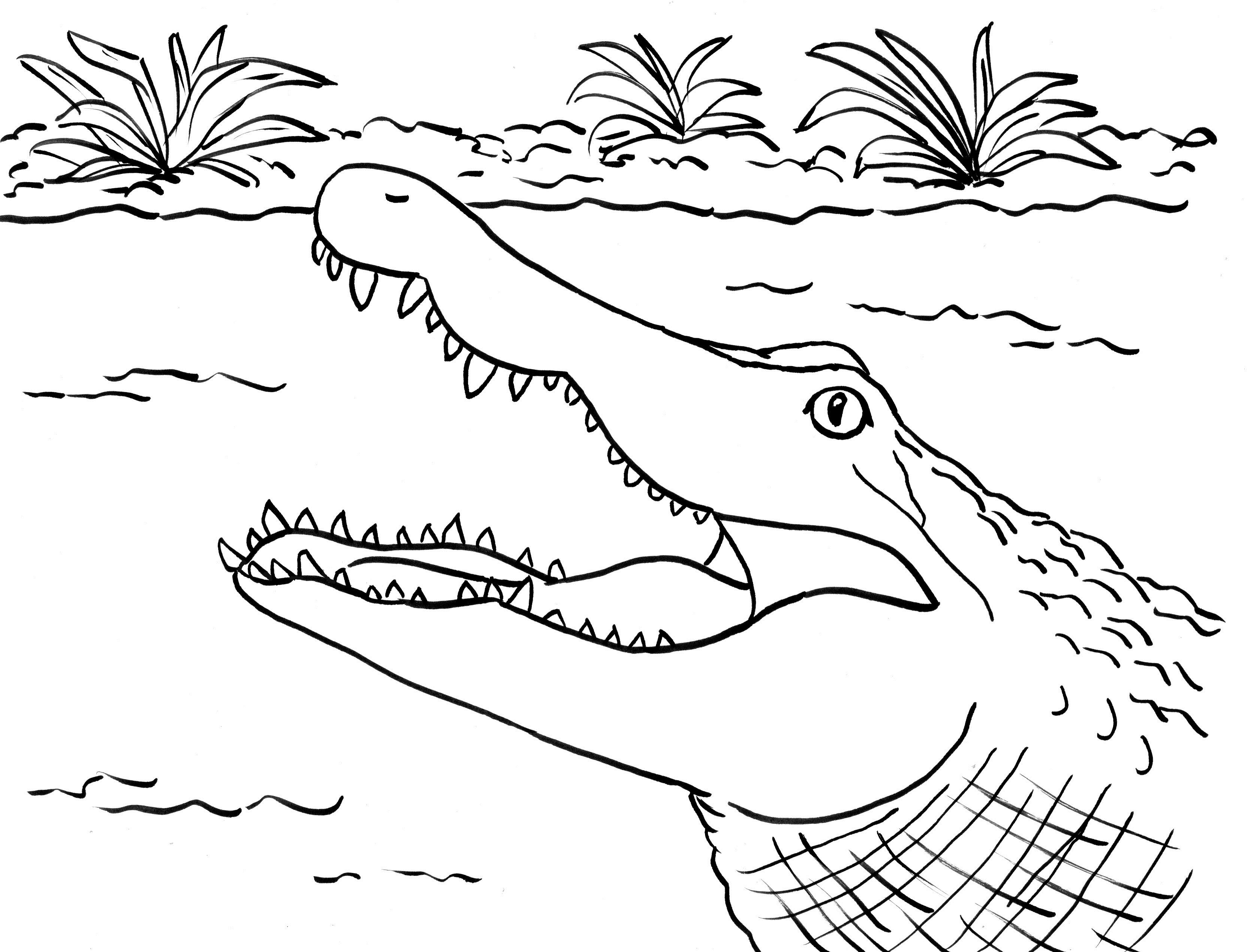 Детская раскраска крокодил
