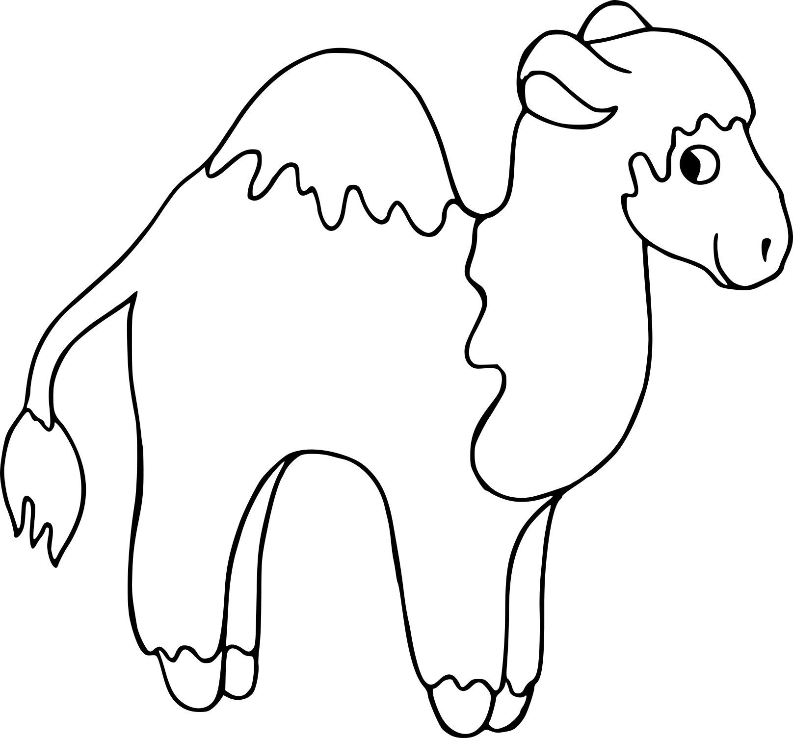 Верблюжонок раскраска для детей