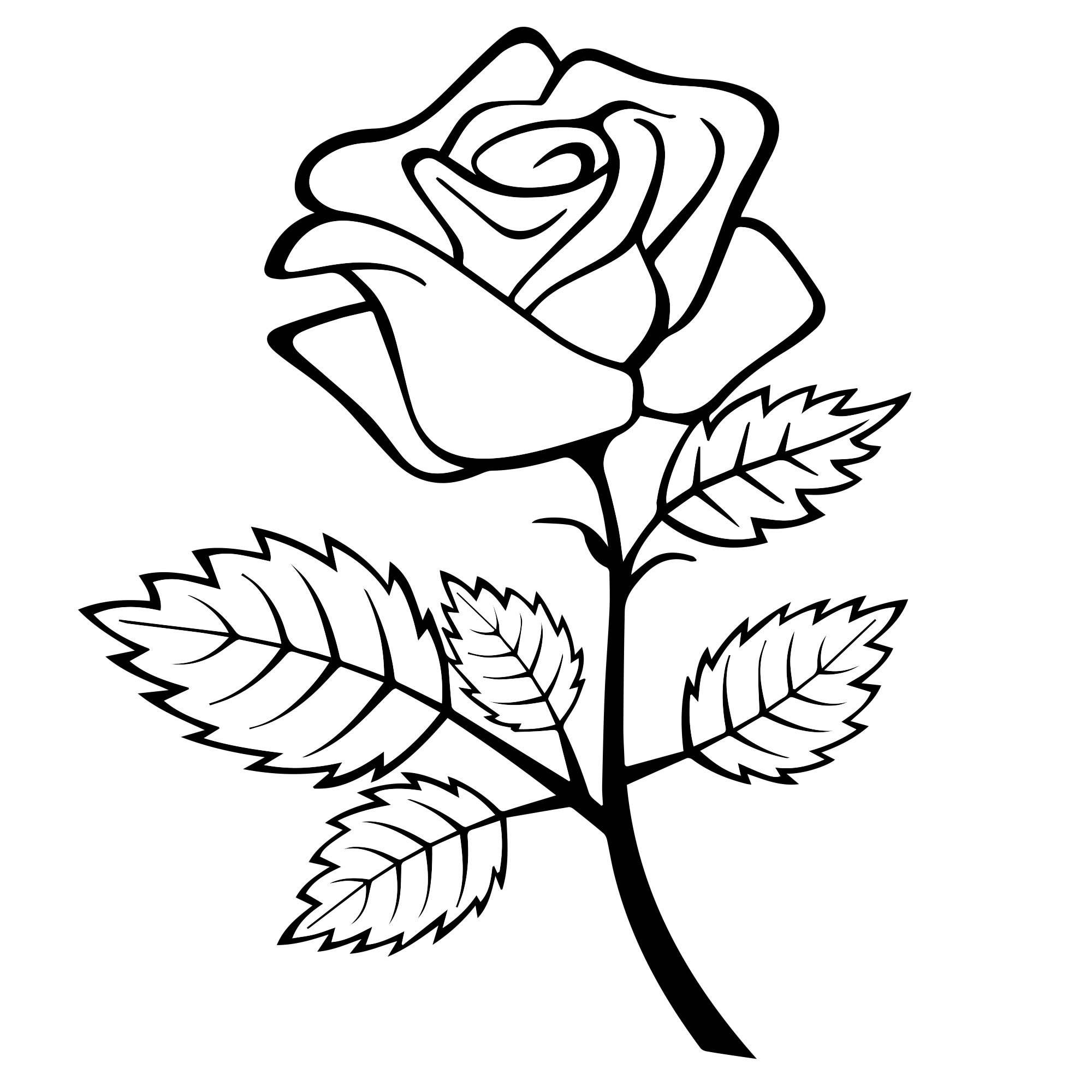 Роза рисунок раскраска