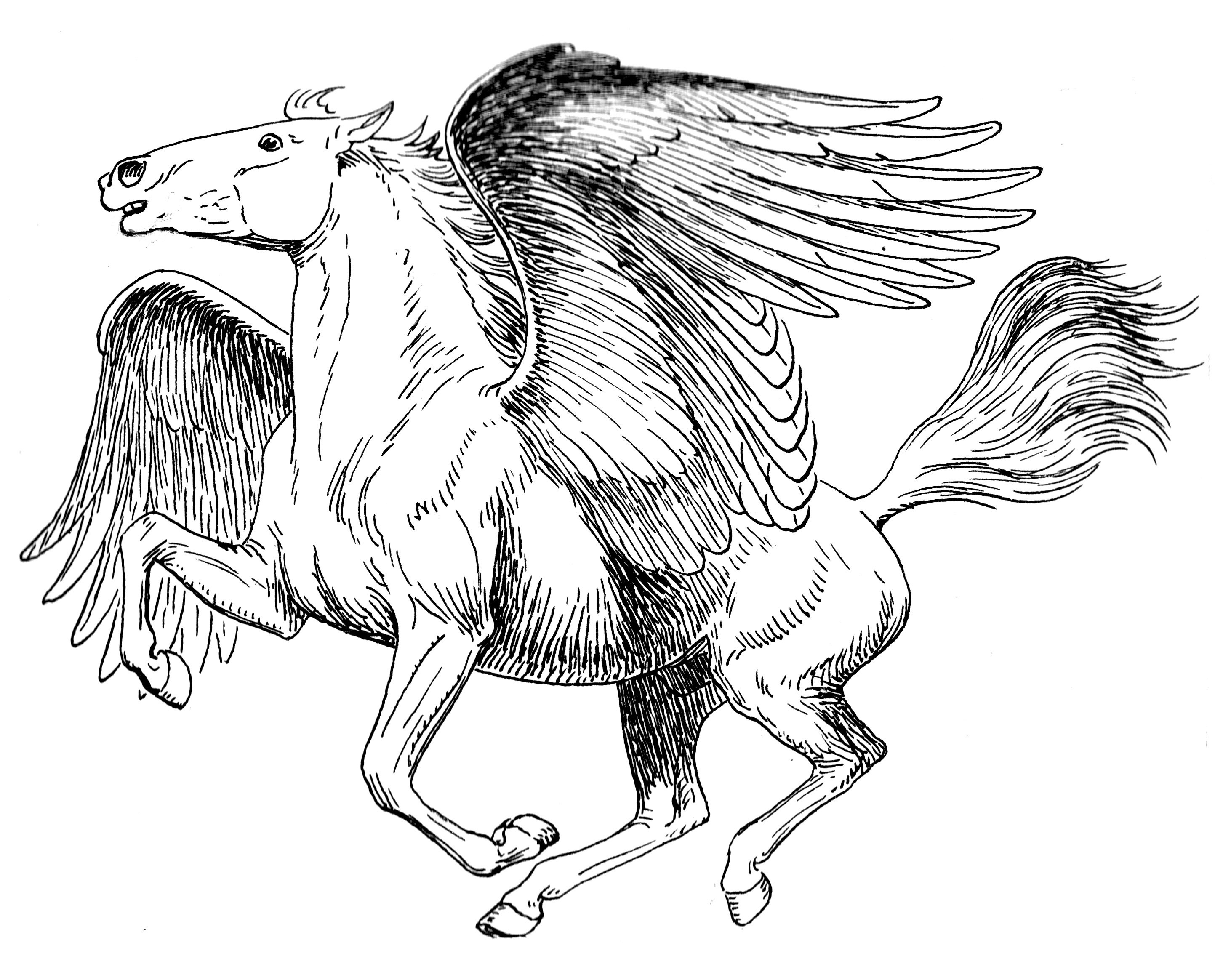 Раскраска лошадь с крыльями