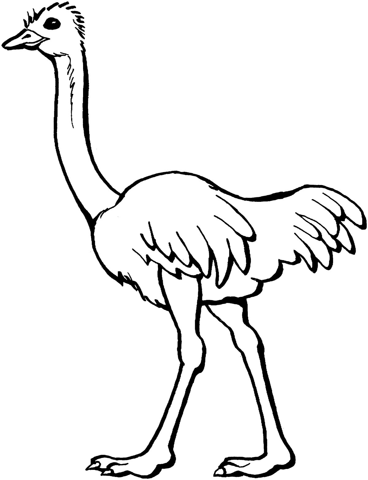 Ostrich раскраска для детей