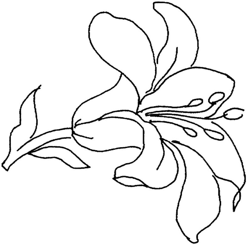 Контуры для рисования цветы