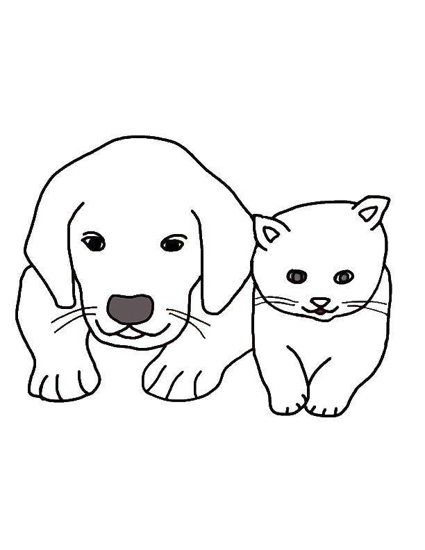 Щенок и кошка рисунок - 90 фото