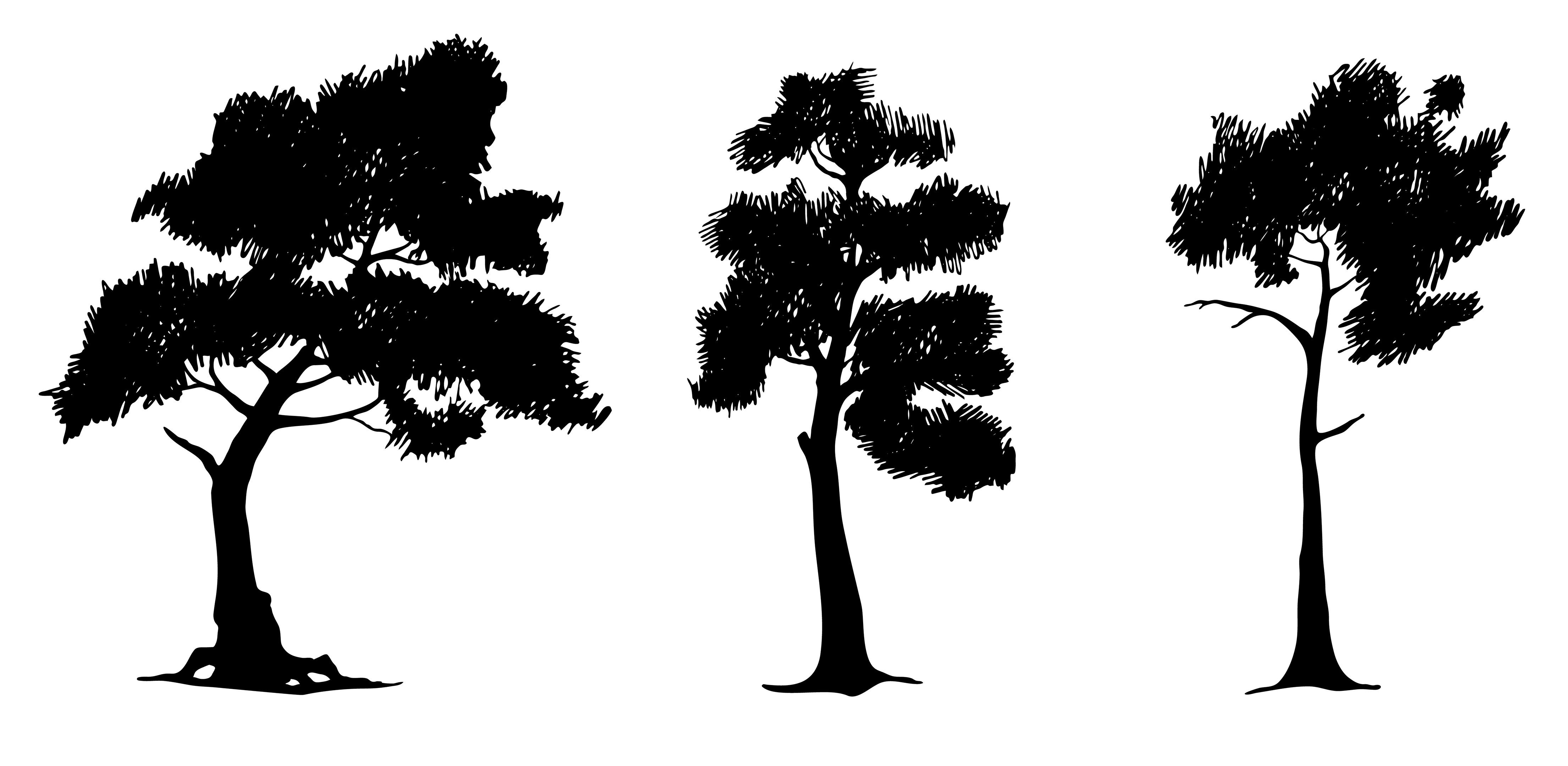 Силуэтные изображения деревьев